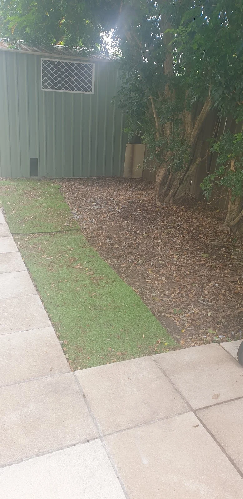 Yard cleared of green waste after removal